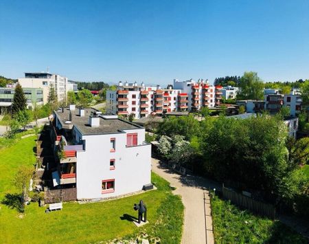 sunny residential neighborhood in a child-friendly environment - Photo 5