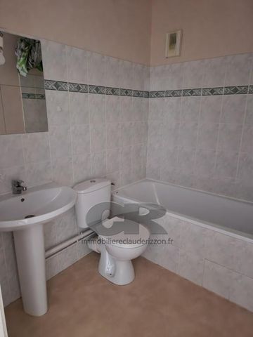 Location Appartement 1 pièce 28m² NANCY 54000 - Photo 3