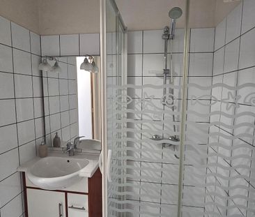 Location Appartement 1 pièce 21m² GRENOBLE 38000 - Photo 4