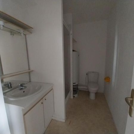 Location Appartement 1 pièce 38m² FLEURY LES AUBRAIS 45400 - Photo 3