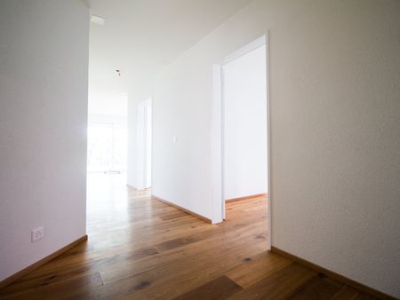 3.5 Zimmer, EG - Photo 4