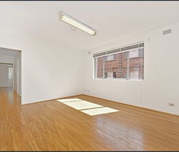 6/29 Harnett Avenue, Marrickville, NSW 2204 - Photo 1