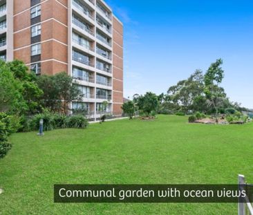 55/67 St Marks Road, Randwick NSW 2031 - Apartment For Rent | Domain - Photo 1