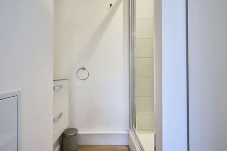 ARMAND CARREL Colocation 4 chambres à Lille - Photo 4