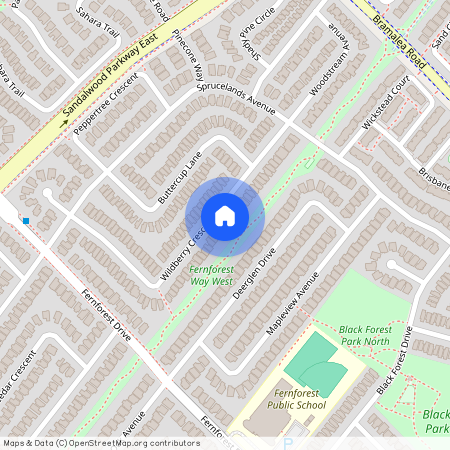 44 Wildberry Crescent Unit# BSMT, Brampton