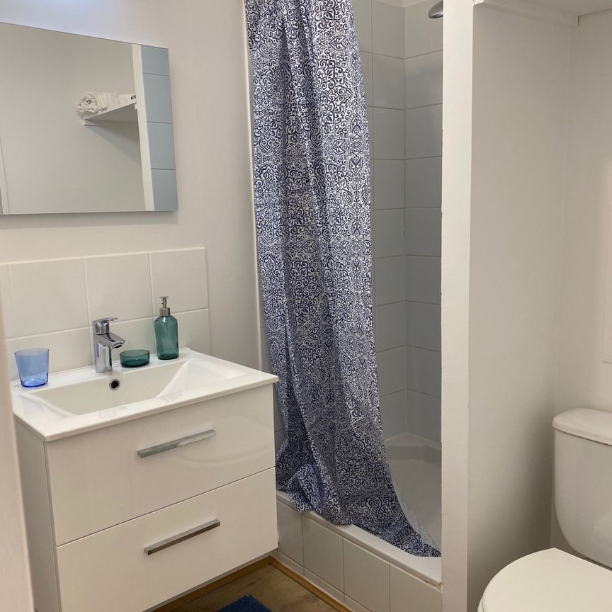 Location Appartement 1 pièce 19m² ST MAURICE 94410 - Photo 1