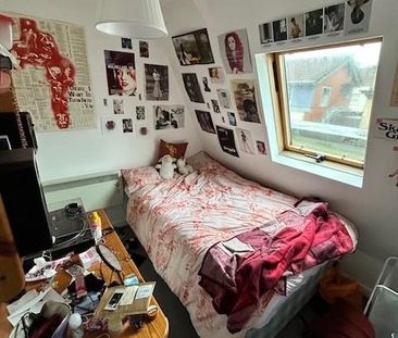 7 bedroom flat to rent - Photo 5