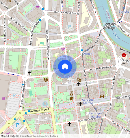 Rue de la Débridée **, 1227, Carouge Ge