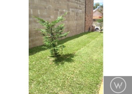 4/11 Albion Street, Annandale NSW 2038 - Studio For Rent | Domain - Photo 3