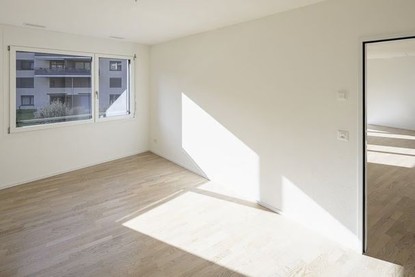 3.5 Zimmer, 87 m², 1. Stock - Foto 1