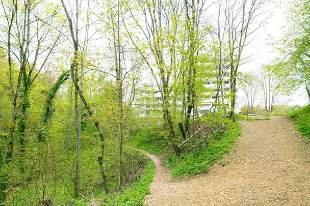 Lichtdurchflutete 4.5-Zimmer-Wohnung im beliebten Breitequartier - Foto 1