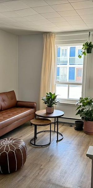 Logement appartement 3 1/2 plus espace bureau à Lévis près de l'Hôtel Dieu - Photo 1