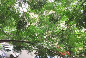 Monteverde Vecchio: Modern 2 bedroom, 2 bath, large living room, separate kitchen. Bright, silent, parquet floors, situated in lovely period building, excellent area, near park. Ref. 2364.