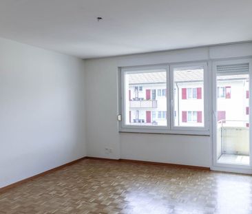 Living on the Aare - Photo 4