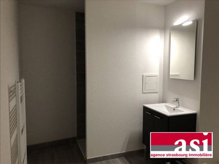 Studio à louer, 1 pièce - Strasbourg 67200 - Photo 3