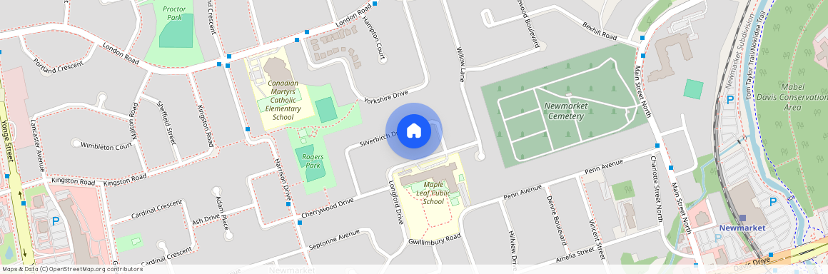 256 Silverbirch Drive Unit# Main Floor, Newmarket