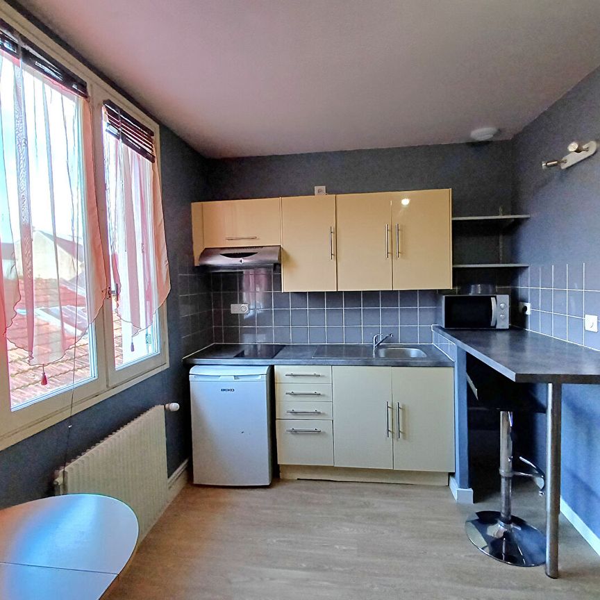 Location Appartement 1 pièce 16m² TOURS 37000 - Photo 1