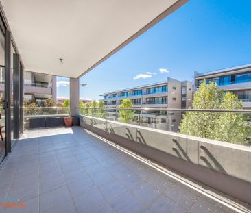 11/19 Leichhardt Street, Kingston ACT 2604 - Apartment For Rent | D... - Photo 2