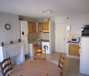 Location Appartement 2 pièces 52m² CHARLIEU 42190 - Photo 3