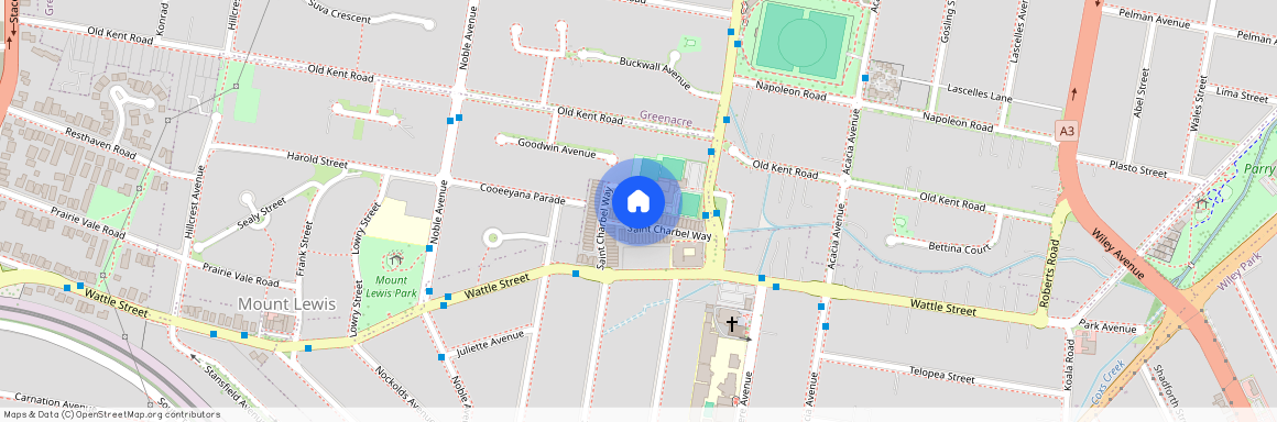 55 St Charbel Way, NSW 2196, Punchbowl