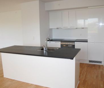 Møgelparken - Foto 5