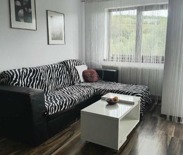 Apartament de Inchiriere 2 camere, APCJ247554FLO - Photo 3