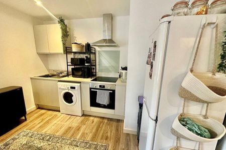 Back Dragon Parade - Photo 4