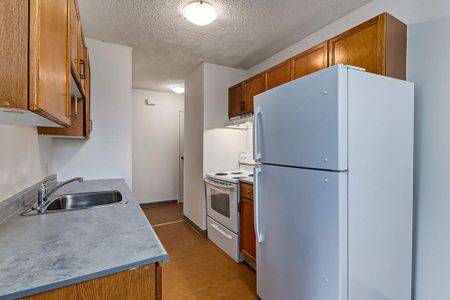 Renovated Suite - 1 Bedroom - Photo 5