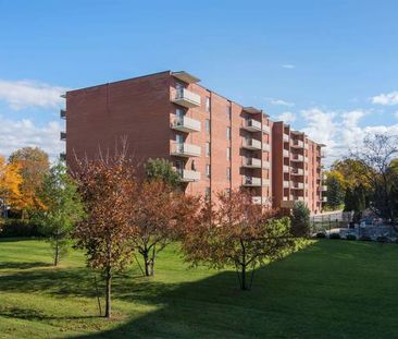 Regency Court Apartments - Kathleen - ALL INCLUSIVE | 316 Kathleen ... - Photo 1