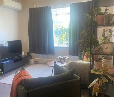 1 bedroom flat, Crieff St, Northland, Wellington - Photo 2