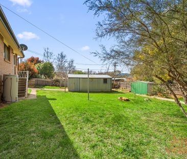 256 Dryandra Street, O'Connor ACT 2602 - House For Rent | Domain - Photo 2