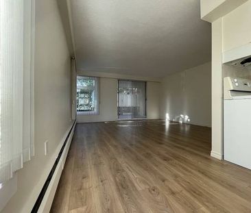 1 bed/1 bath apartment in Kerrisdale - Photo 3