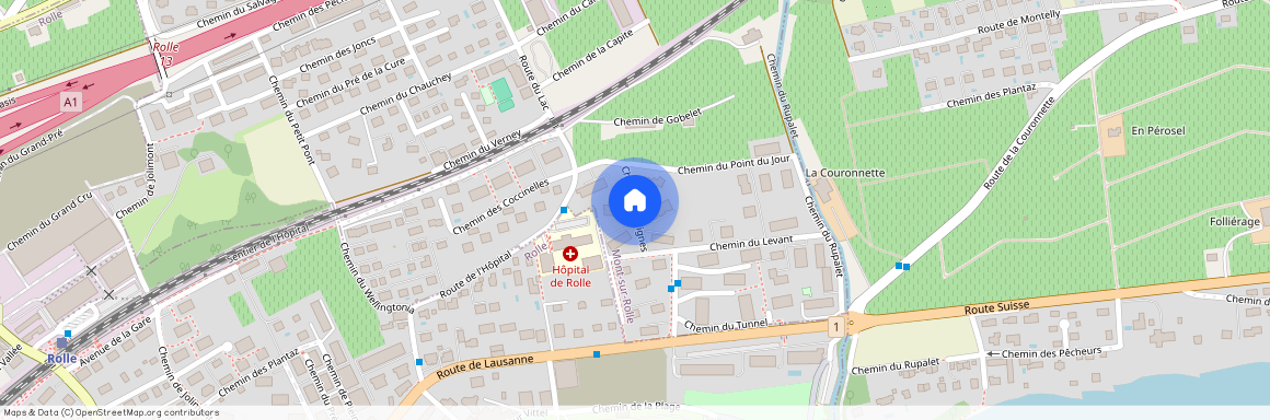 chemin des vignes, 1180 Rolle