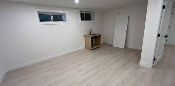 Brand New Spacious and bright 1 bedroom, 1-bathroom ground-level suite - Photo 2