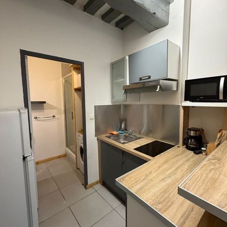 Location Appartement 1 pièce 17m² - Photo 3