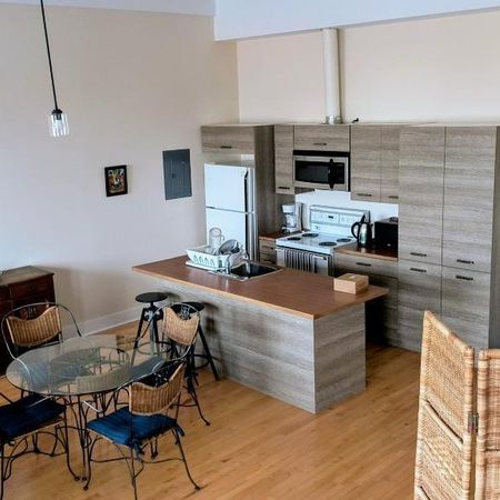 Très grand loft, plafonds 12 pieds, 2 chambres situé dans un Couvent au pittoresque village du Vieux Sainte-Rose Laval, 2250$ tout inclut - Photo 4