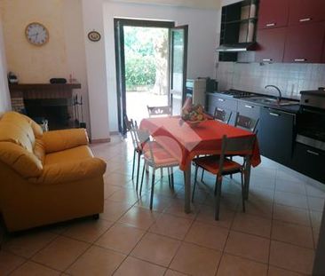 Trilocale in affitto - Photo 1