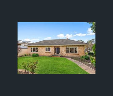47 Hay Road, Linden Park, SA 5065 - Photo 5