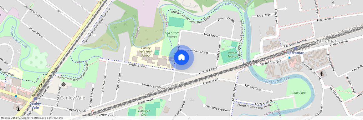 16 Ada Street, Canley Vale NSW 2166