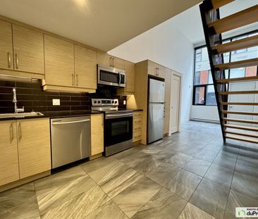 1310, Rue Ontario E, Ville-Marie (Centre-Ville et Vieux-Montréal) à... - Photo 4