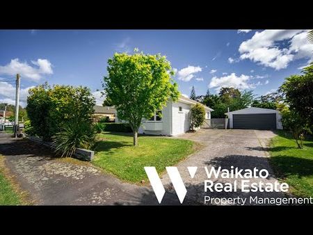 Recently Renovated Four-Bedroom Home in Prime Claudelands Location - Photo 4