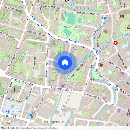 Pieter Coutereelstraat, 3000 Leuven