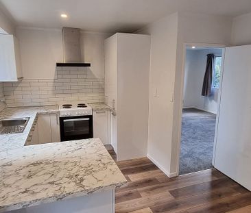 Charming pet friendly home in Browns Bay - Photo 1