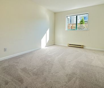 2 Bed Condo For Rent In Mount Pleasant. Undgr. Parking And Storage ... - Photo 6