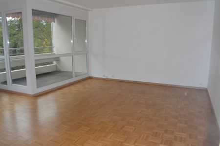 2.5 Zimmer, 44 m², 1. Stock - Foto 4