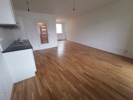 Moderne Loftwohnung mit Loggia im Niedrigenergiehaus am Rennweg in 1030 Wien zu mieten - Photo 3