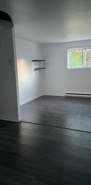 Beau 4 1/2 rénové - bien éclairé - coin près de tous les services à Beauport - Photo 1