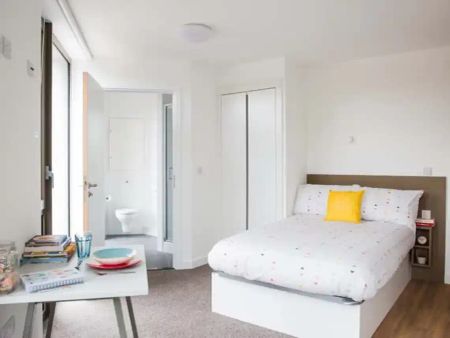 Gold Studio Accessible - Photo 2