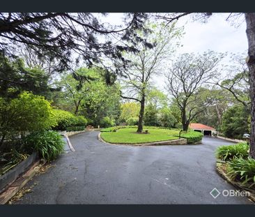 83A Terrara Road, Vermont South, Vic 3133 - Photo 4