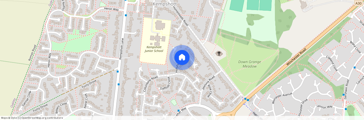 Hollyhock Close, Basingstoke RG22